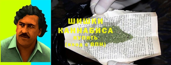 твердый Арсеньев