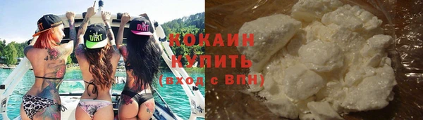 твердый Арсеньев