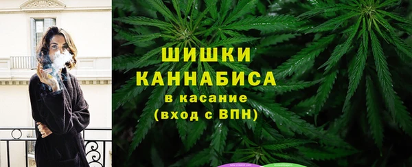 твердый Арсеньев